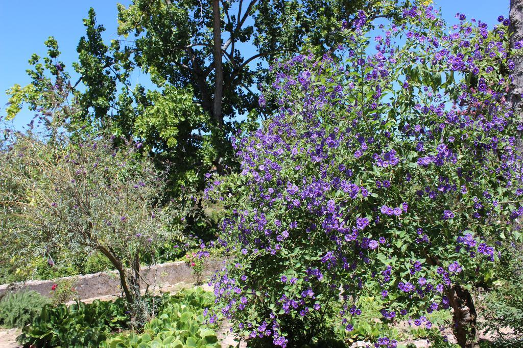 Quinta De Sao Tadeu Hotell Sintra Eksteriør bilde