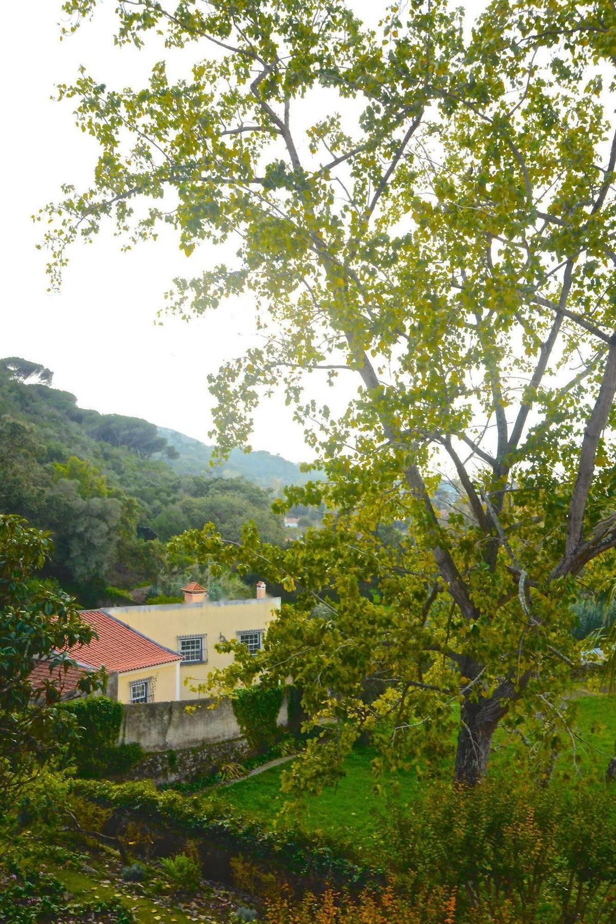 Quinta De Sao Tadeu Hotell Sintra Eksteriør bilde